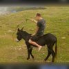 Test na spostrzegawczość.