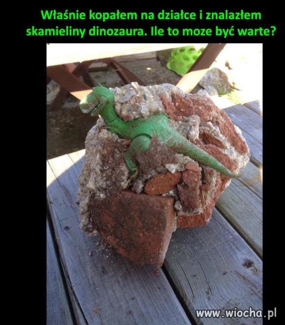 Skamieliny dinozaura