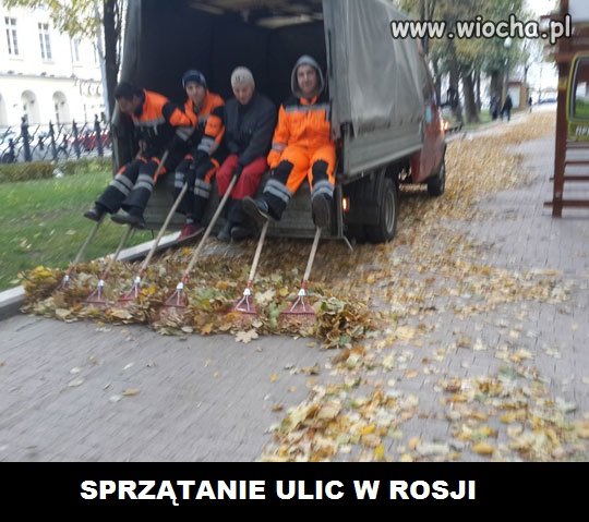 Jesienne porządki