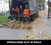 Jesienne porządki