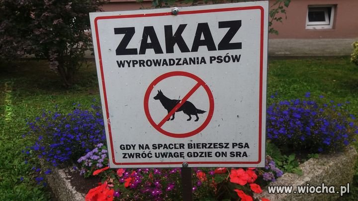 Jak skuteczne to dlaczego nie