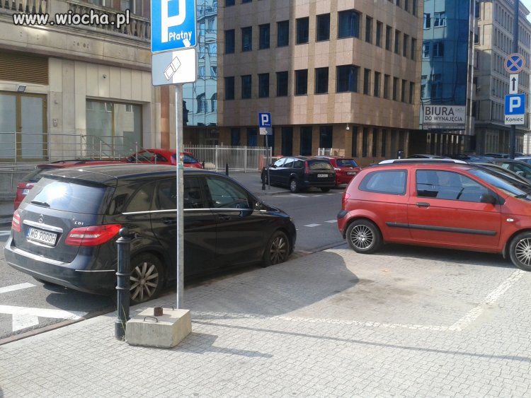 Mózgu brak totalny,dwa miejsca dla miszcza.