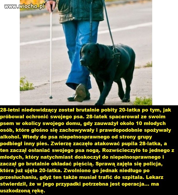 Niedowidzący 28-latek pobity - bronił swojego psa