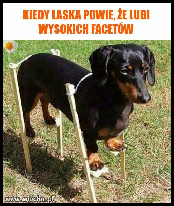 Kiedy laska powie