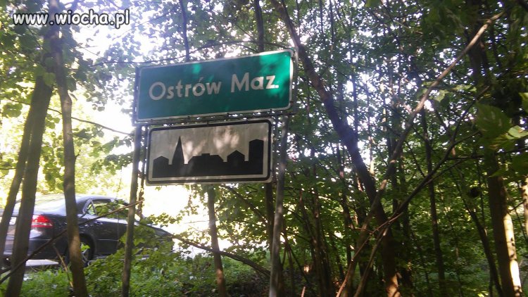 Ostrów Mazowiecka w lesie :D