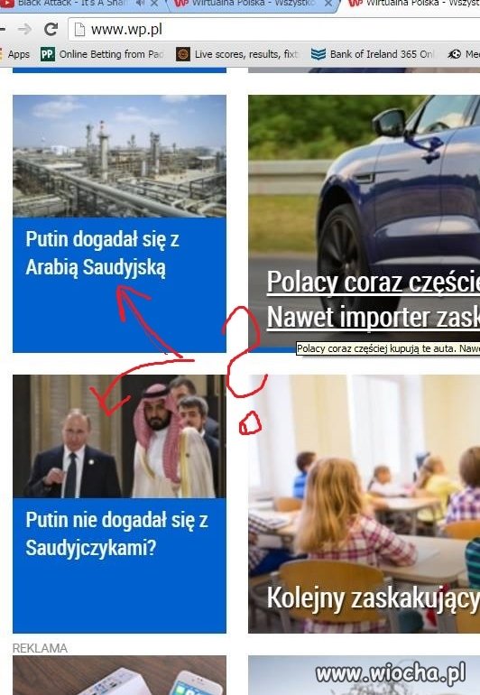 WP TO SIĘ DOGADAŁ CZY 