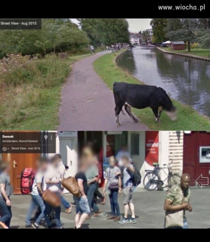 Prywatność w google