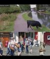 Prywatność w google