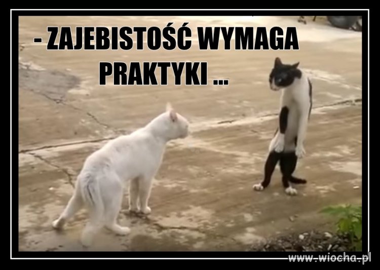 Osiedlowe pogadanki