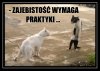 Osiedlowe pogadanki