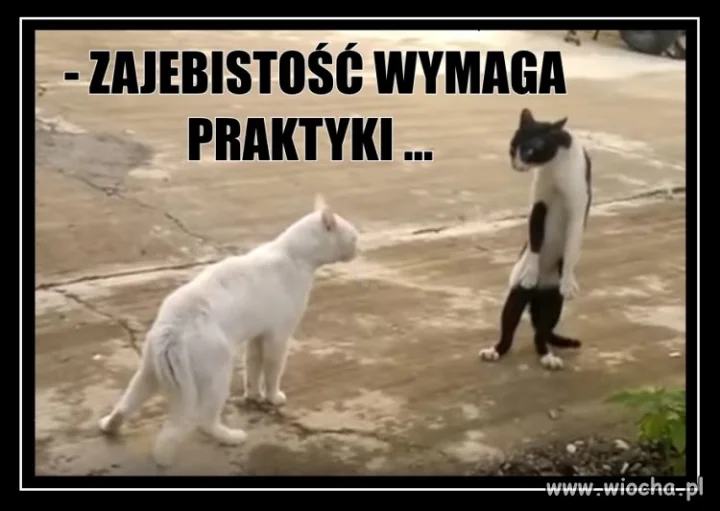 Osiedlowe pogadanki