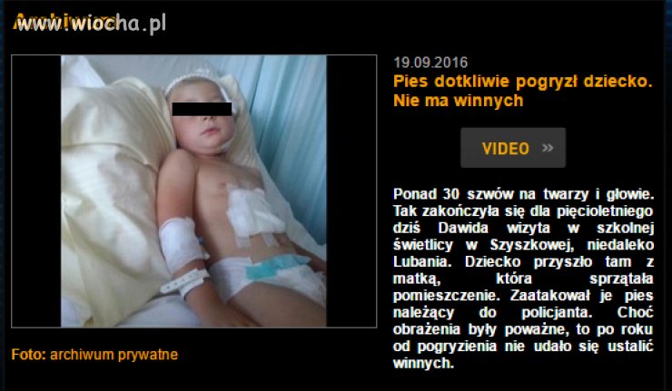 Ręka rękę myje