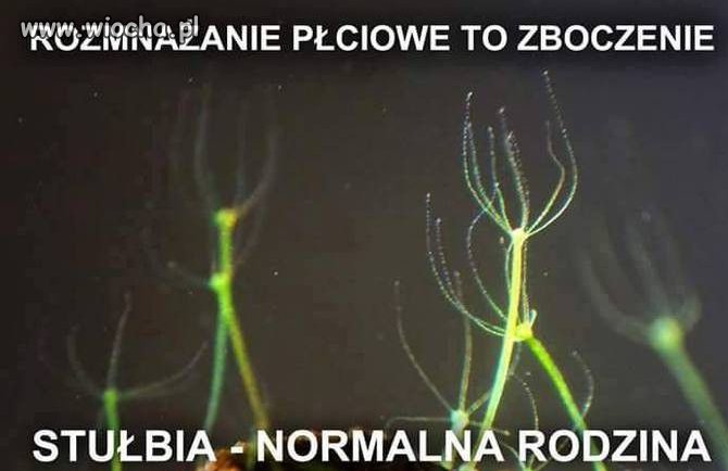 Już niedługo w Europarlamencie