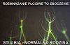 Już niedługo w Europarlamencie