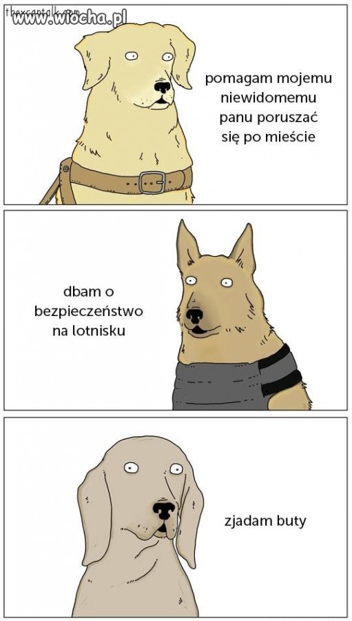 Psy  