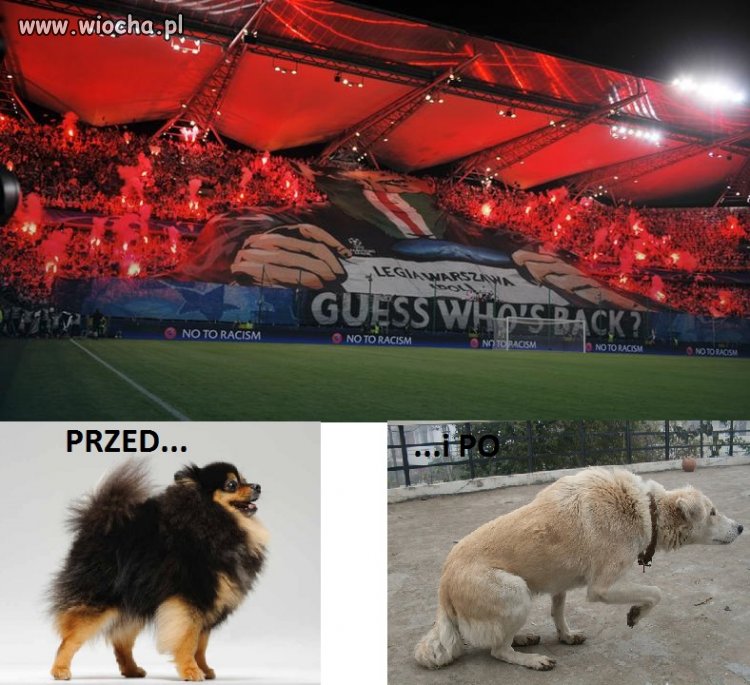 Chłopaki zagrali na szóstkę...