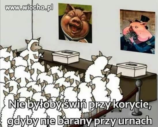 Taka prawda ...