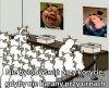Taka prawda ...
