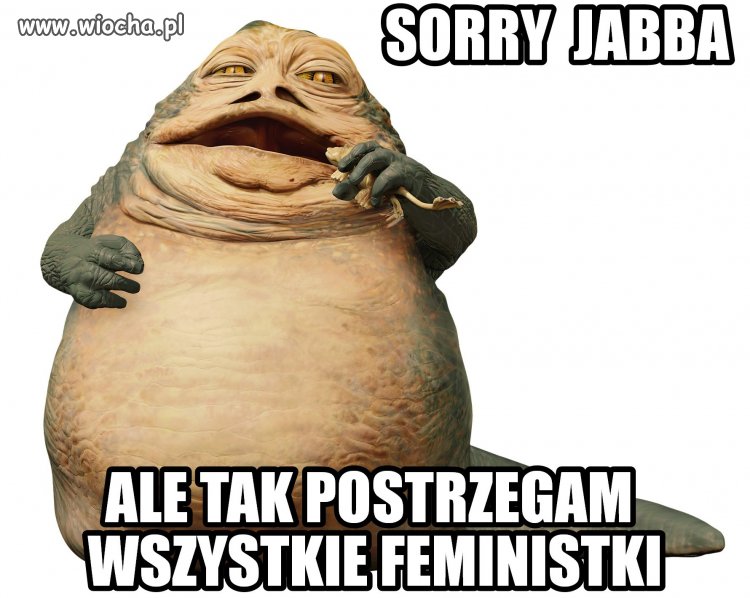 Moje zdanie w temacie feministek.
