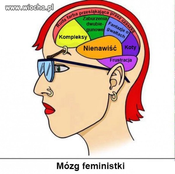 Dużo w tym prawdy!