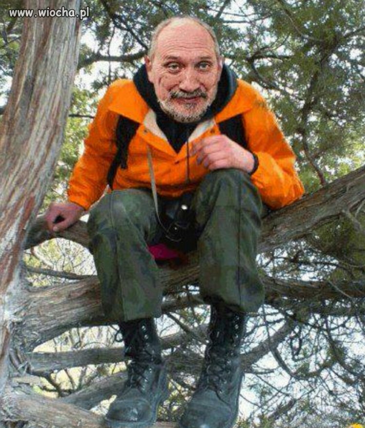 "Zespół Macierewicza"