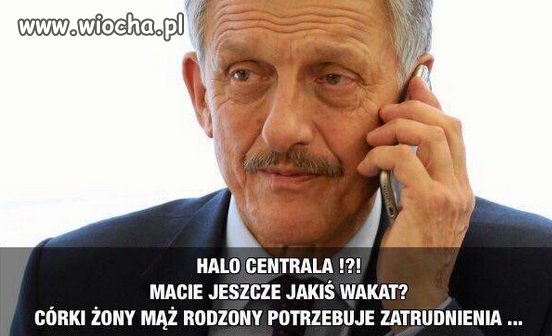 Misiewicze się mnożą.