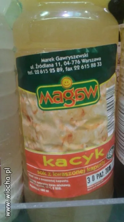 Kacyk kiedy suszy.