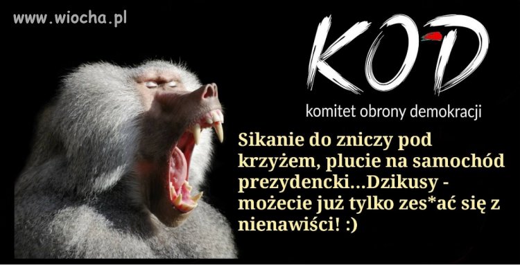 Co im tylko pozostał, aby  