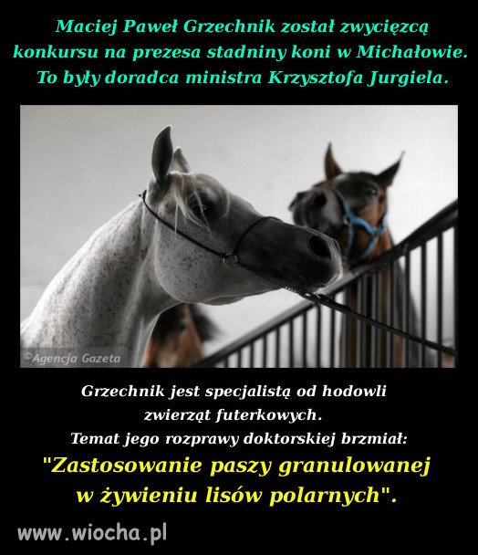 No to będą futra z koni