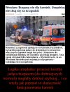 To może niech taksówkarze jeżdżą do wypadków