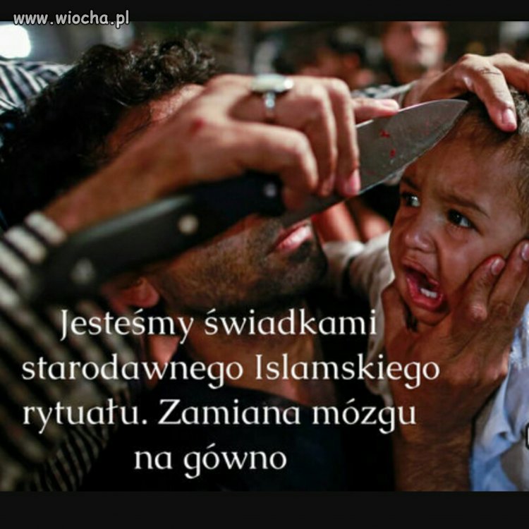 I tylko dziecka żal.