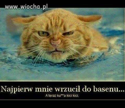 Kici,kici
