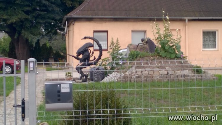 Obcy u sąsiada w ogródku 
