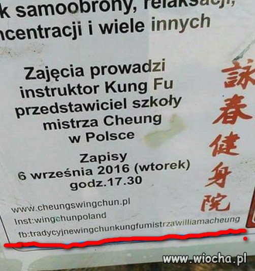 Szkoła i adres mistrza