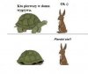 Kto pierwszy?
