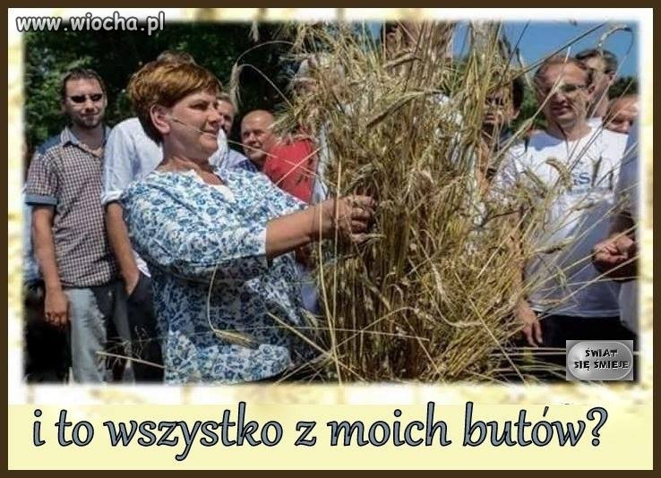 Dożynki 
