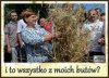 Dożynki 