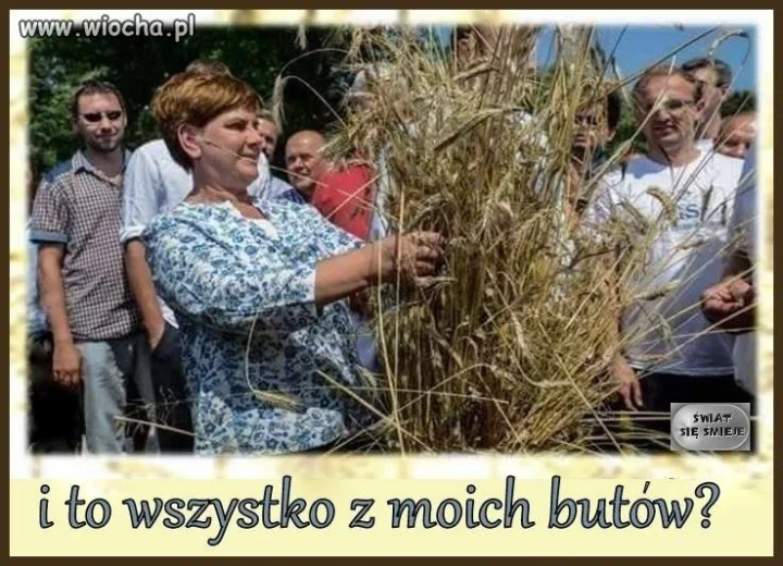 Dożynki 