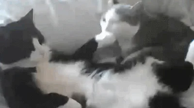 Gdy prosisz o podwyżkę
