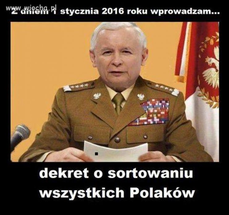 Idiota roku