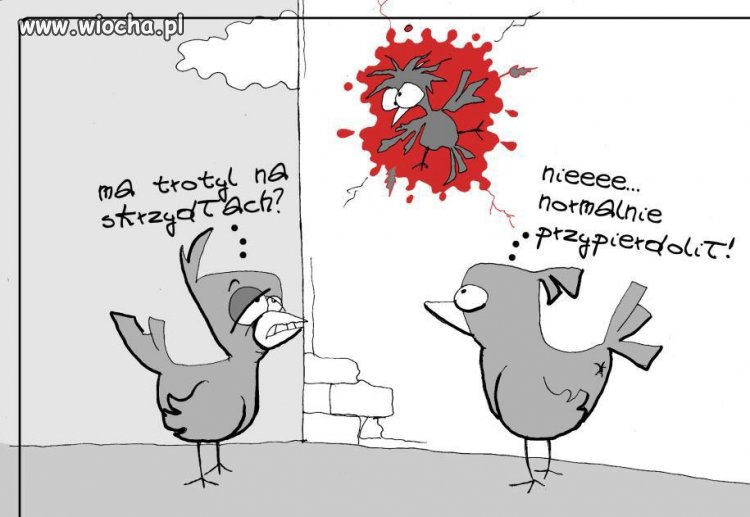 Pewne zdarzenie na wesoło