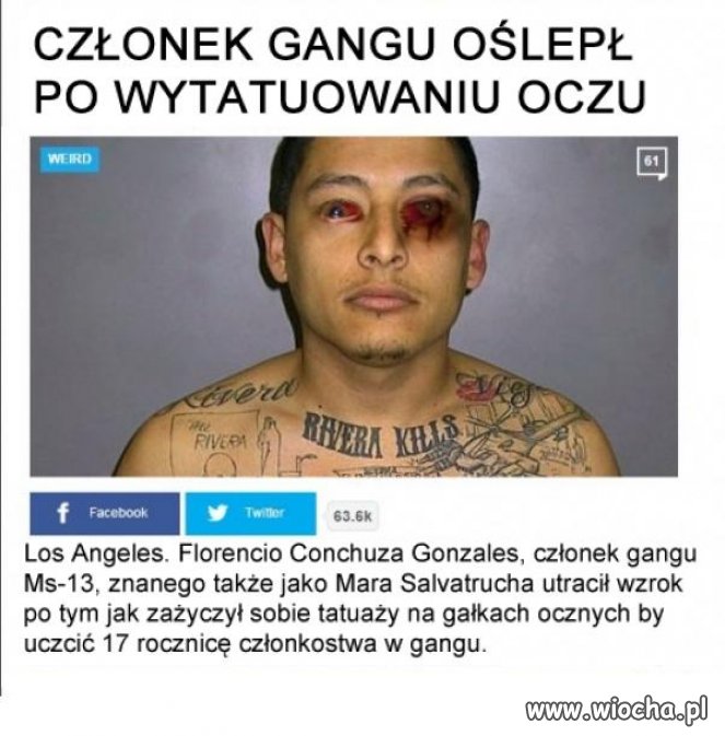 Nie ma co nawet współczuć, jedynie głupoty.