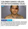 Nie ma co nawet współczuć, jedynie głupoty.