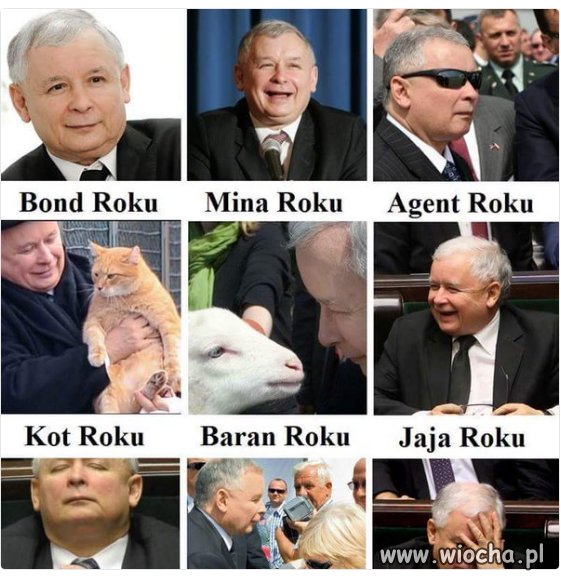 Bond 