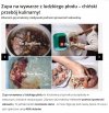 Zupa na wywarze z  