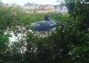 Rosja zza krzaków 