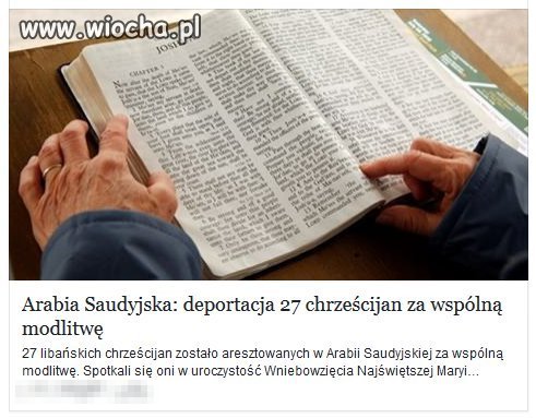 Islam to Religia pokoju dla swoich.