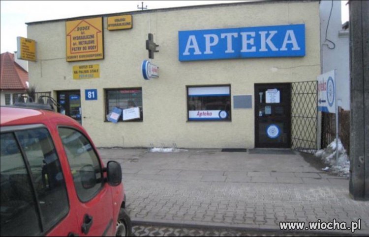 Alma Mater w Łomiankach