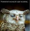 I tak każdego poranka