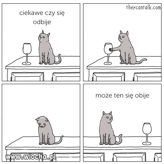 Logika kotów